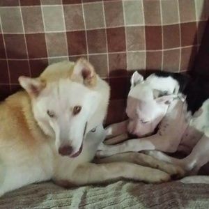 Meet your Posher, Melda